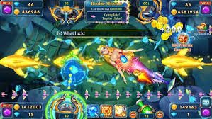555hh